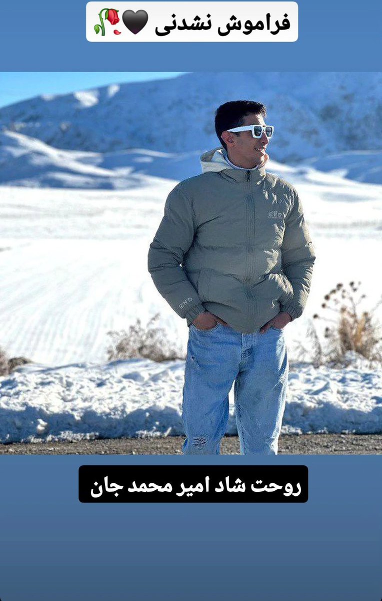 امیر‌محمد خلیل ارجمندی