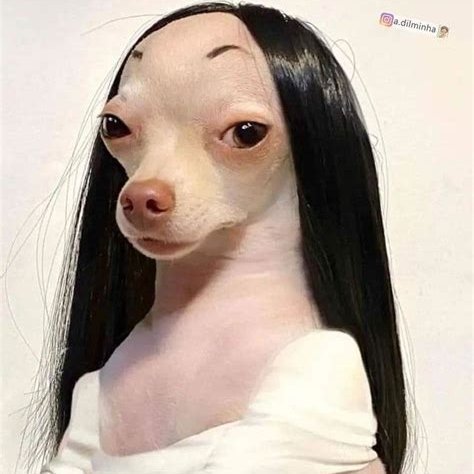 nimaebrahimi_1