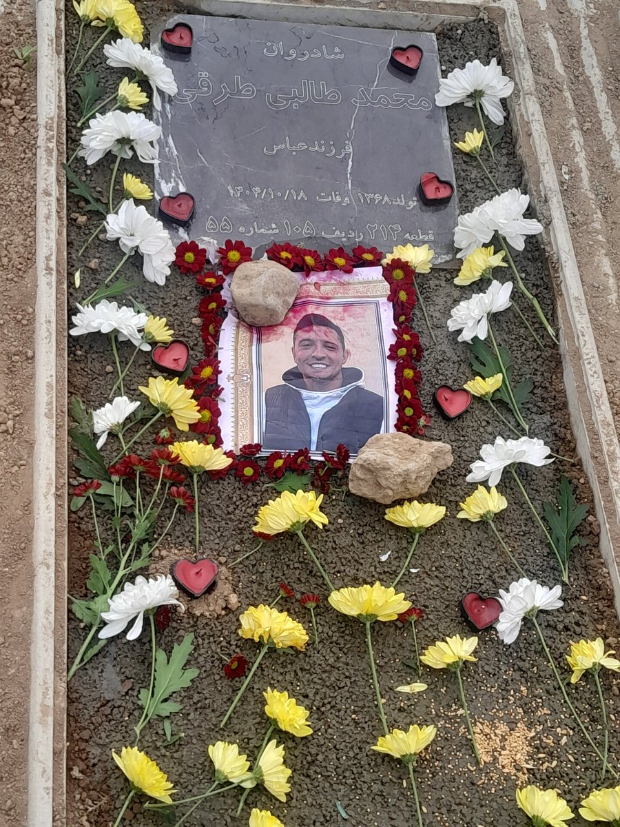 محمد طالبی طرقی