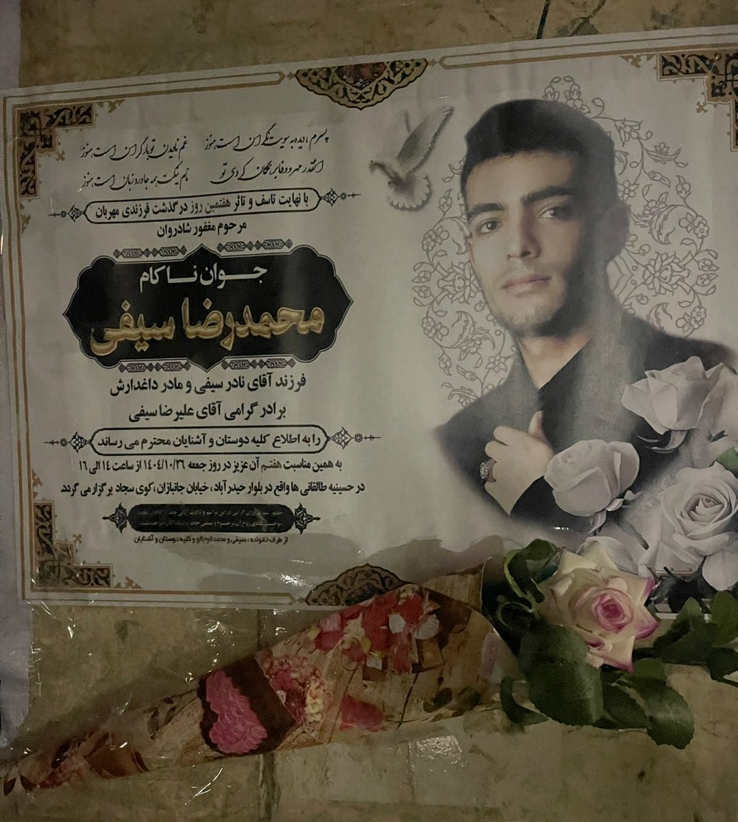 محمدرضا سیفی