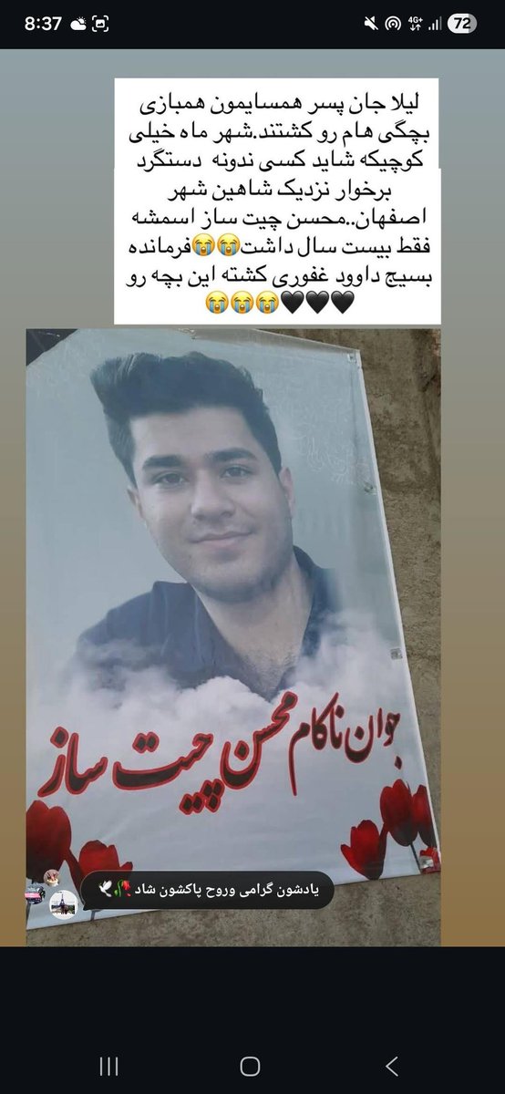 محسن چیت ساز
